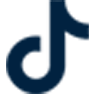 TikTok Logo